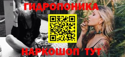 мяу мяу мука Лесосибирск