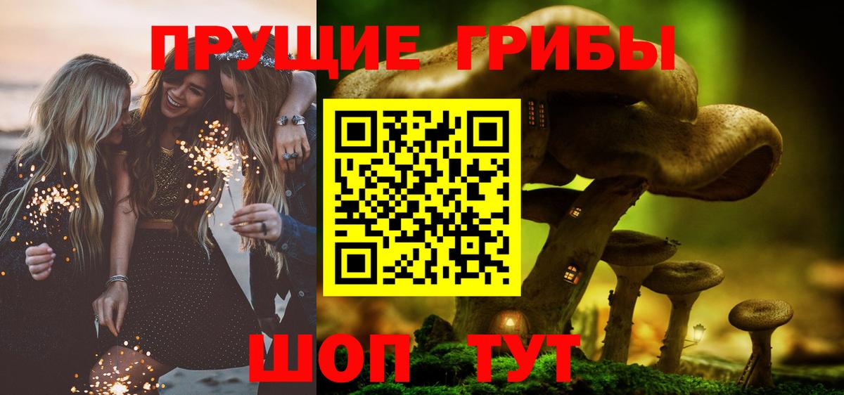 Екатеринбург  Галлюциногенные грибы прущие грибы  что такое наркотик  Вход с VPN 